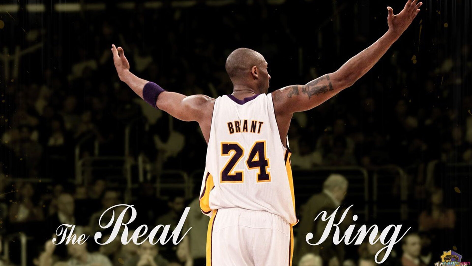 德甲争冠战与步行者翻盘，跨越时空的竞技启示录